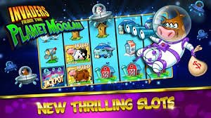 bw77 bingo game screen showing numbered balls and bingo card on mobile